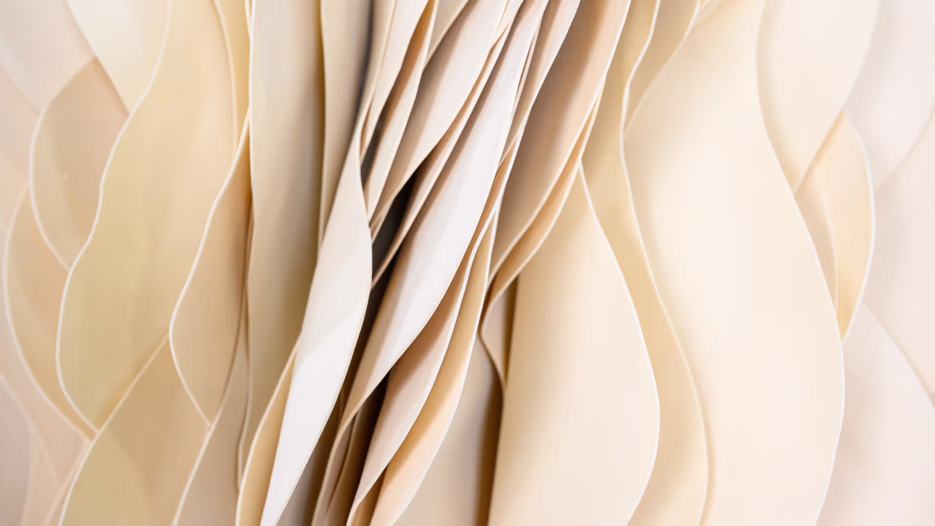 Soundscape, Ashish Dhaka, India